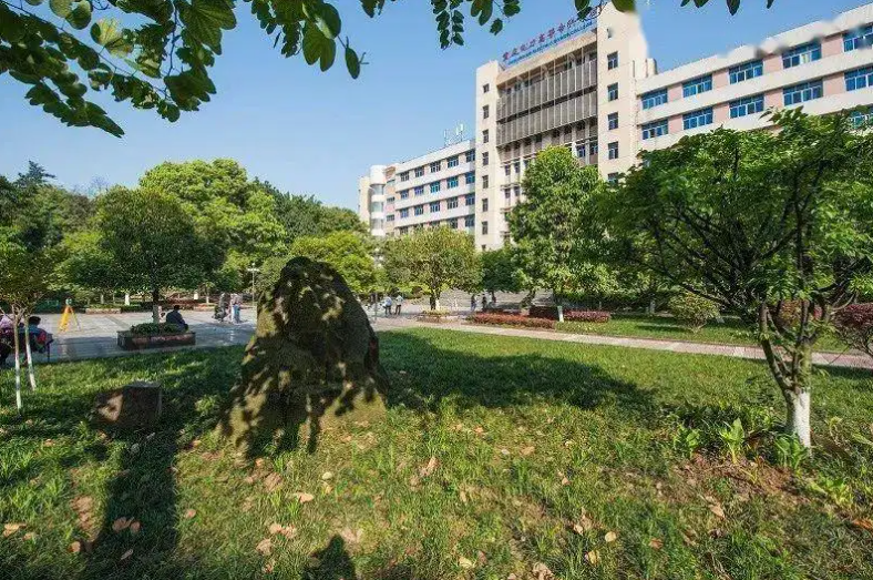 青海电网公布22年录用名单：青海大学116人，排名第2的是一所专科