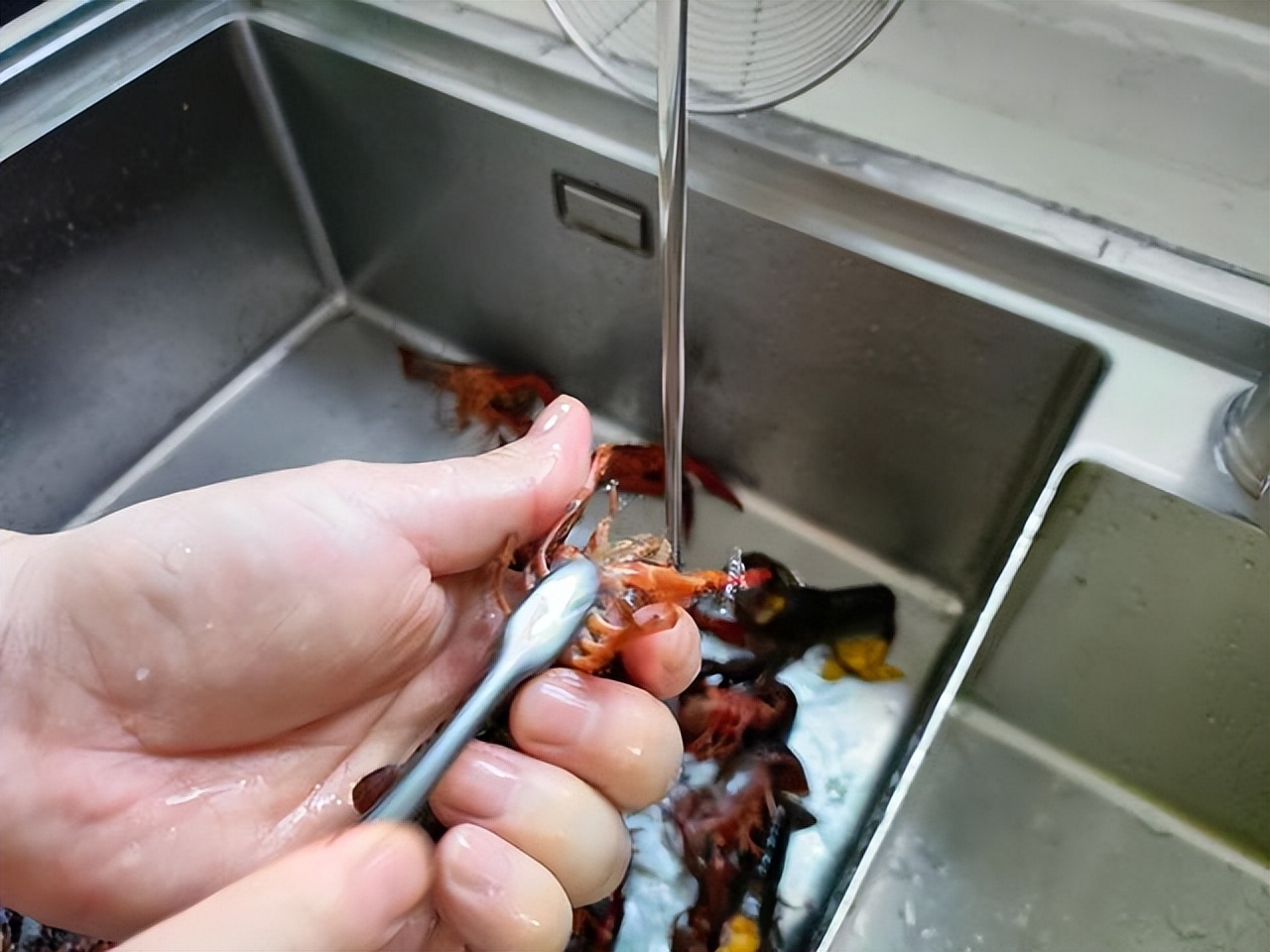 蒜蓉小龙虾怎么做（太香了！蒜泥小龙虾这么做，连虾壳都特别鲜，1顿3斤不够吃）