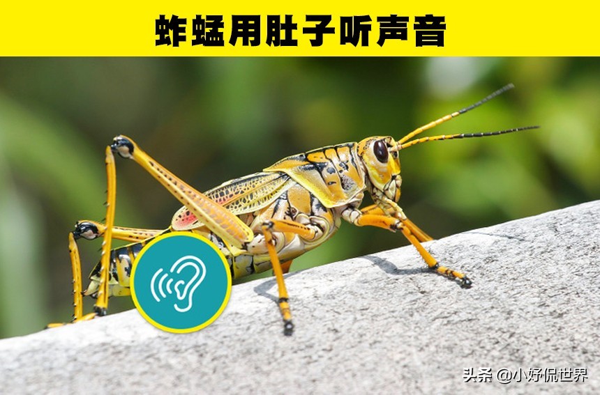 学校可能没有教过你，但非常真实和神秘的8个冷知识