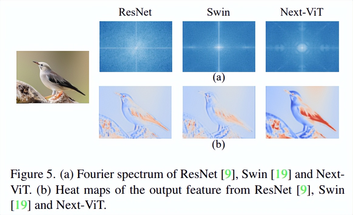 CNN和Transformer正确结合方法，有效的下一代视觉Transformer