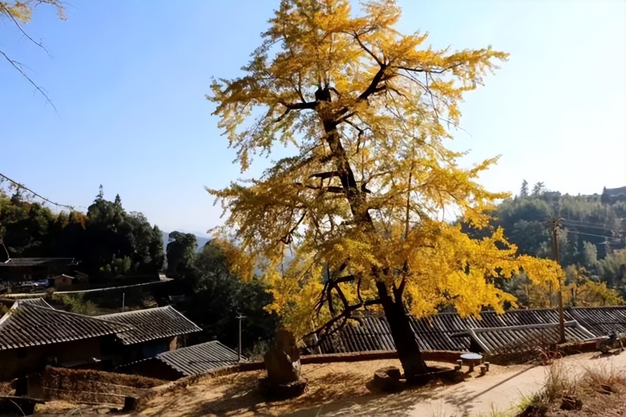 永泰旅游景点（永泰旅游景点推荐）-第16张图片-科灵网