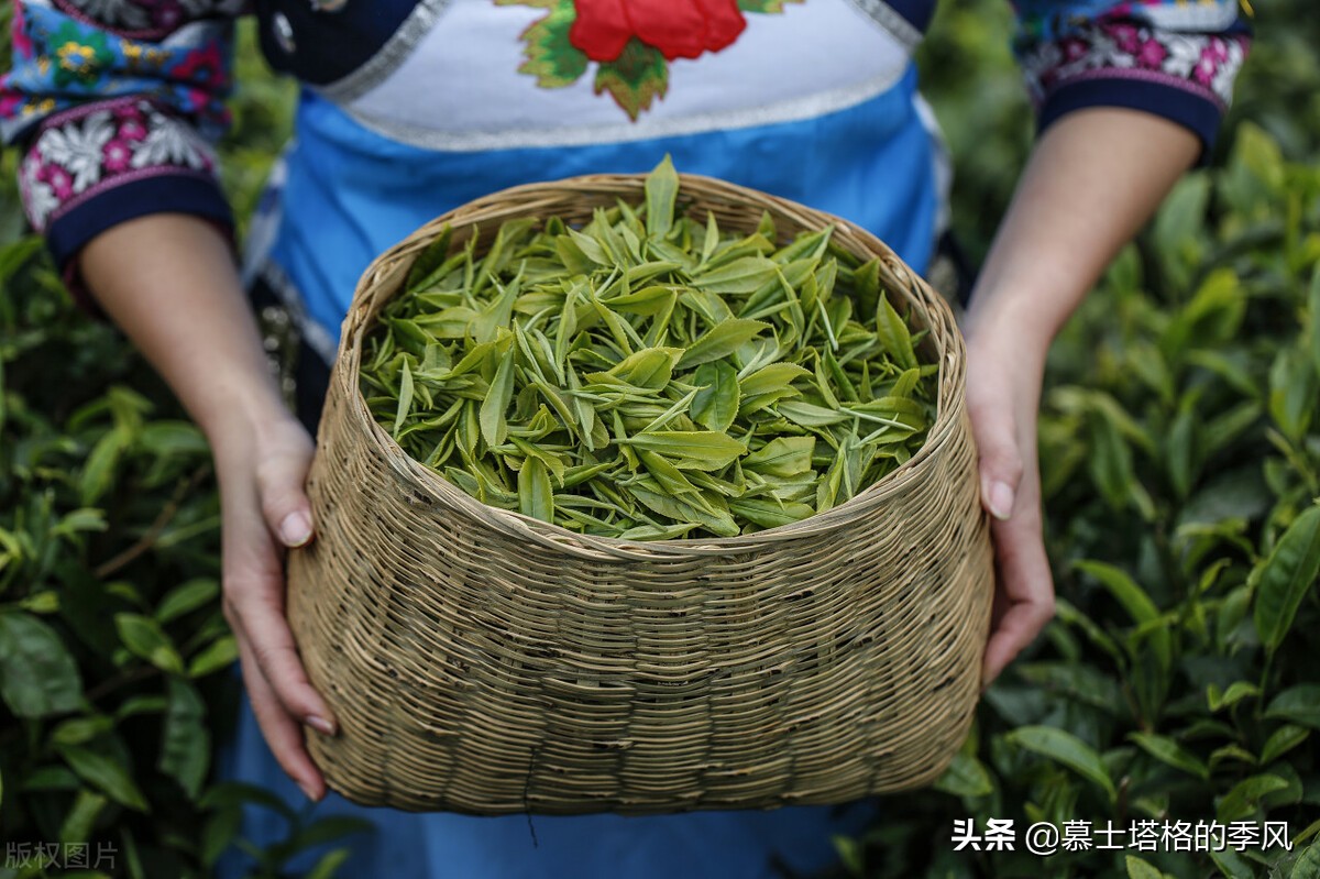 贵州有一座用桥连接的城市，山清水秀空气好，退休了就去这里养老