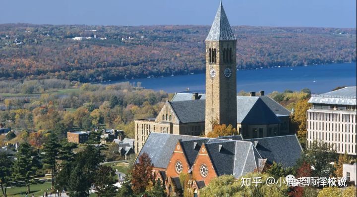 美国大学早申放榜，2022年国际学校“战况”如何？｜莫比岛教育