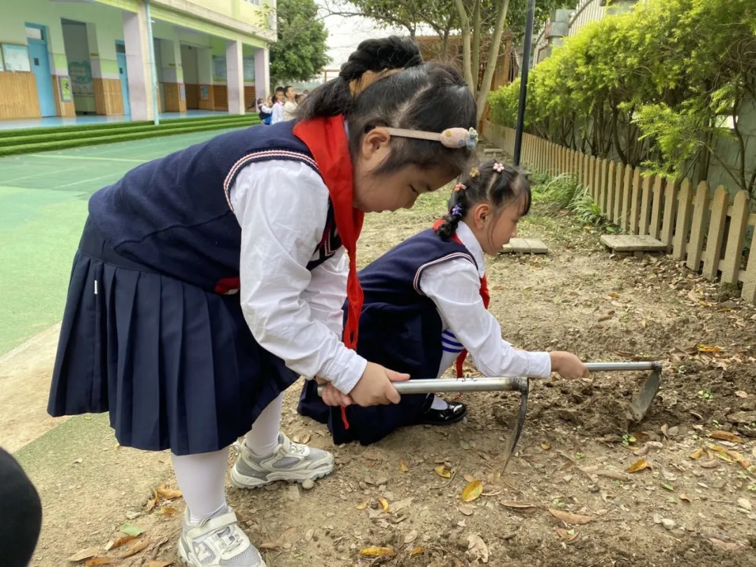 上好每一节劳动课——四川天府新区新兴小学开展劳动教育课程