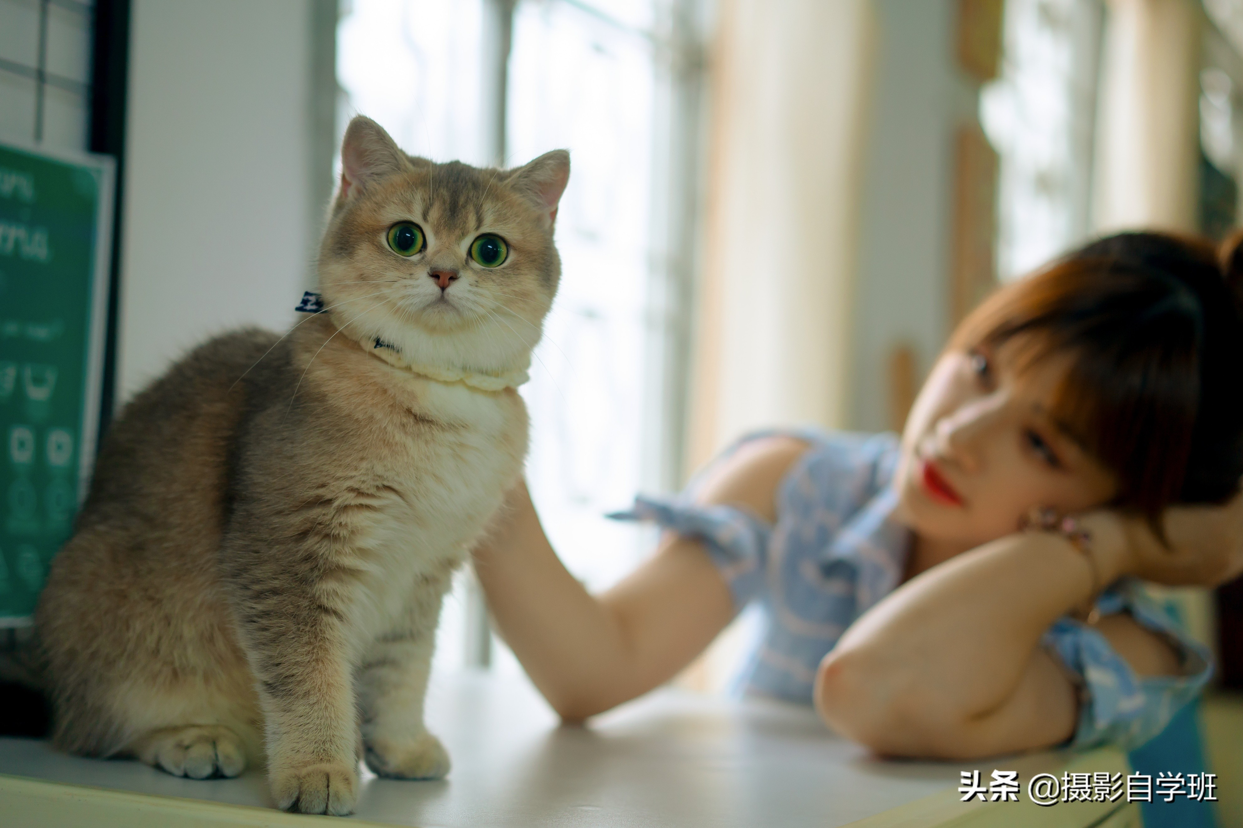 疫情期間，在家拍好看照片，這10個(gè)攝影技巧幫你，新手學(xué)了就會(huì)