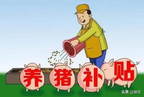 农村医疗保险2022年新政策,农村医疗保险2022年新政策哪些人群不用交