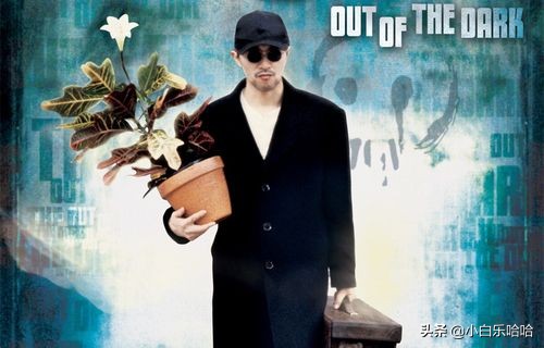 央视专访周星驰，希望散播中国文化，星爷电影经典语录有哪些？