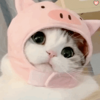 很好听！西湖板块9条道路拟命名方案公示！4条已完工