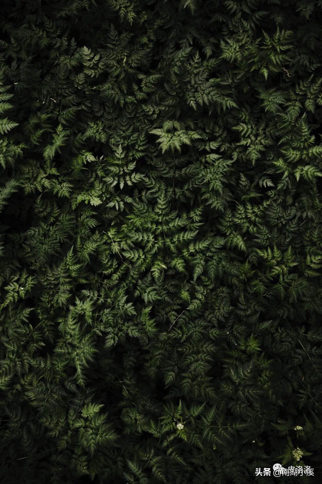 工作十年，分享工作中应该培养的八种能力