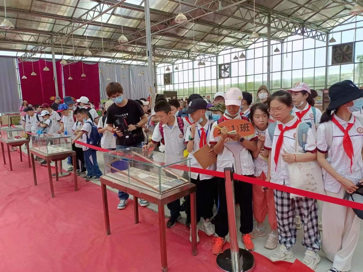 湖北黄石：小学生也要学习农耕知识，体验农事活动