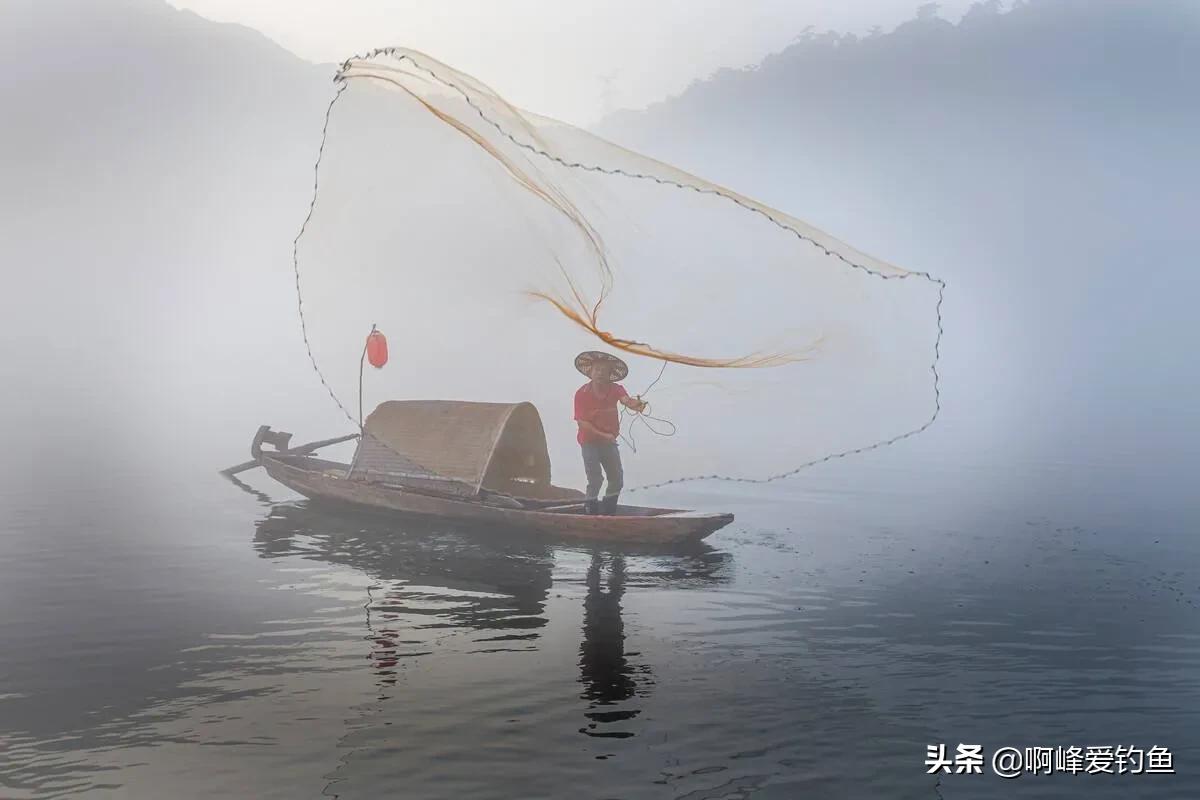 水怪事件(200万尾鱼离奇消失！真的有“水怪”存在？钓鱼人、渔民参与破迷)