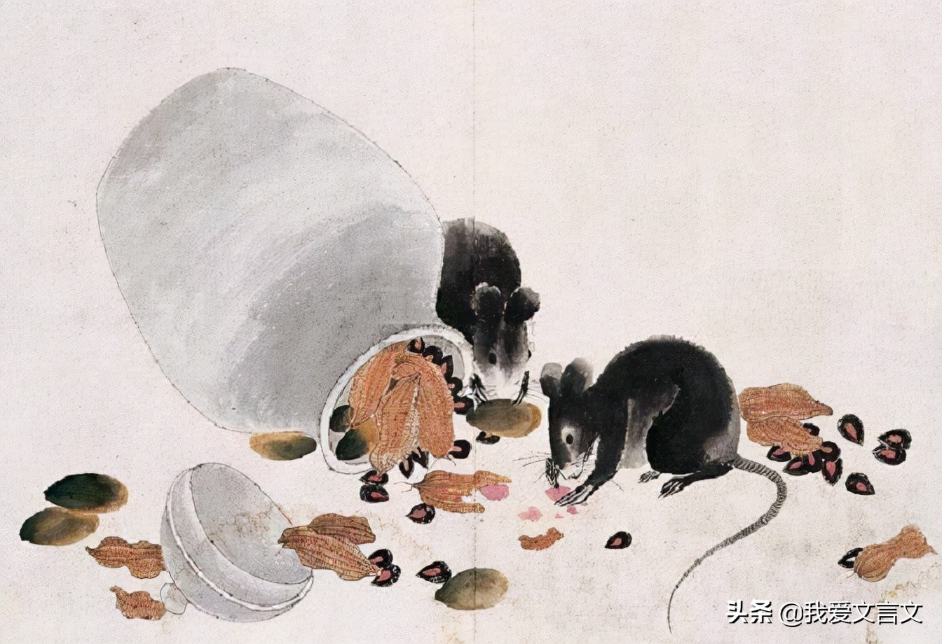 经典文言文赏析 | 束氏狸狌