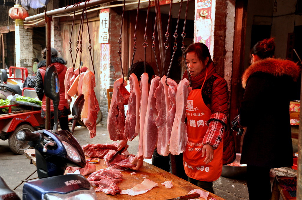 春节猪价今日预测视频「今日春节猪价最新预测」