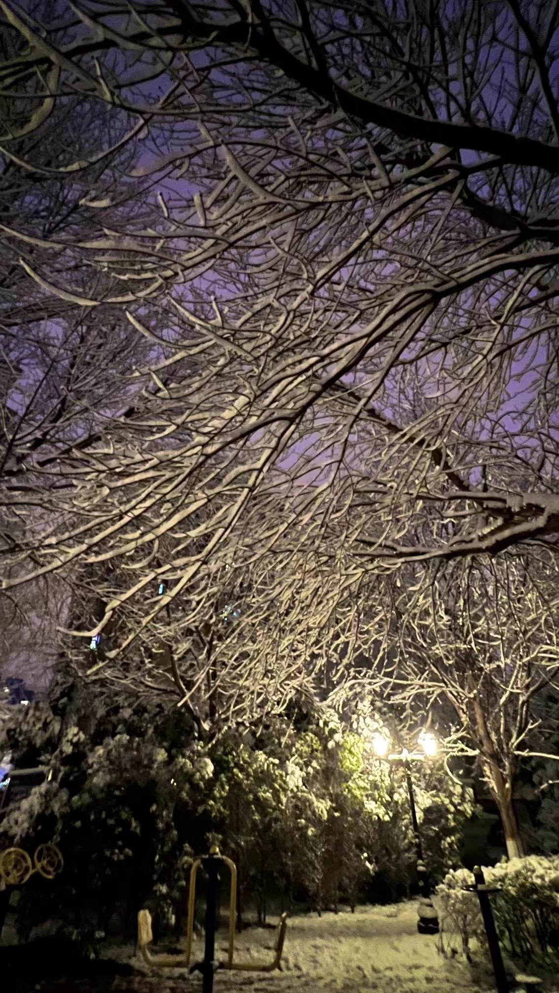 专属于春雪的浪漫，当三月的北京遇见飘雪，有种转瞬即逝的美
