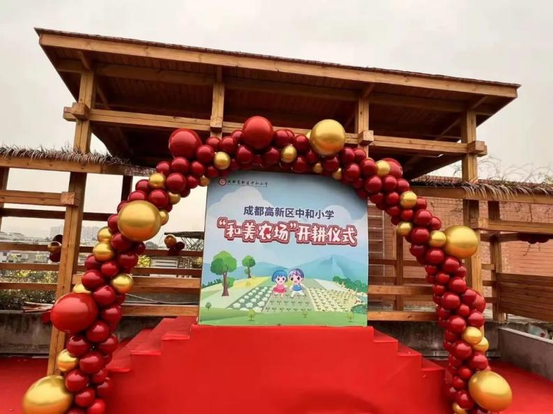 中和小学参加区教育发展中心综合实践教学设计比赛并喜获一等奖