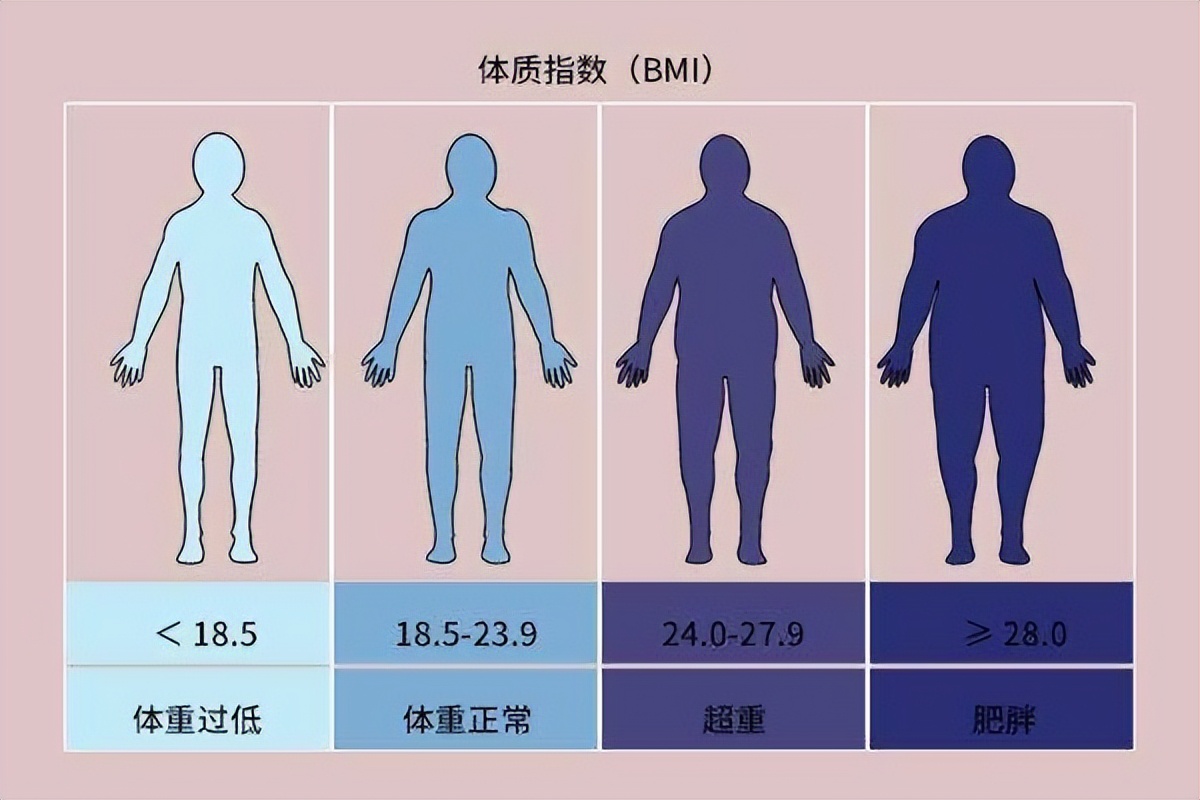 寿命与体重关系被发现:60岁后,这样的体重或刚好,自检达标没