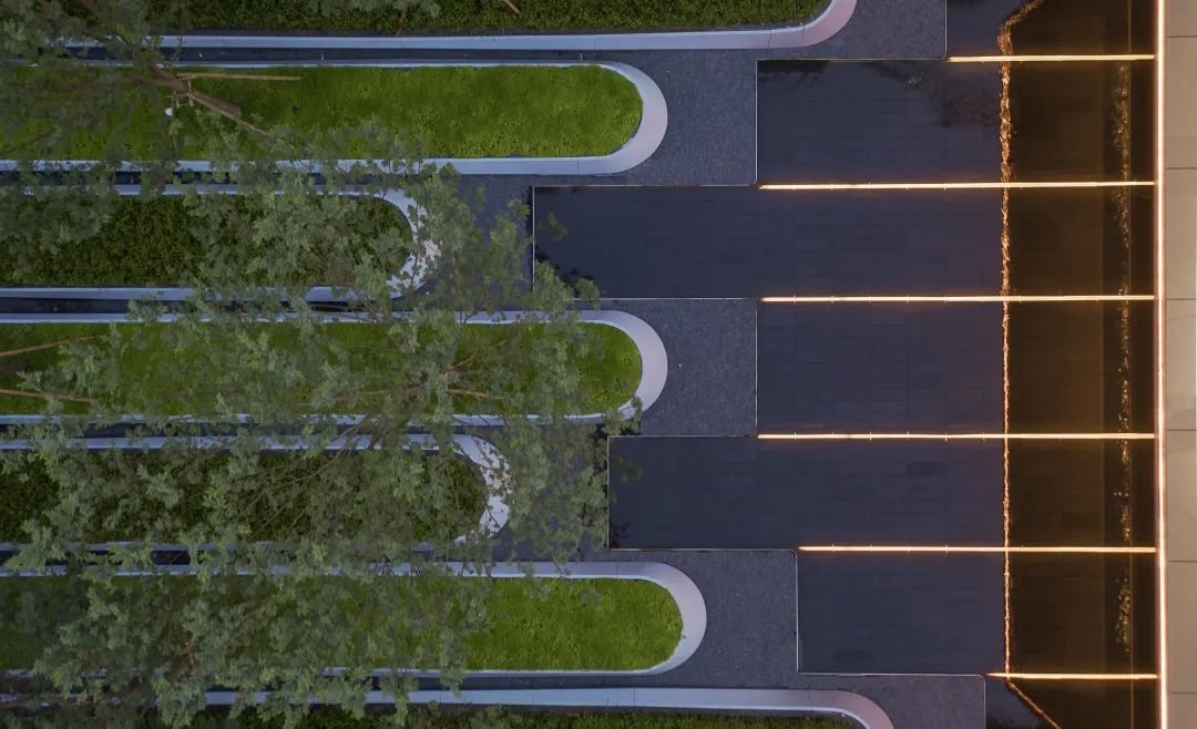 用心的植物搭配，超级美