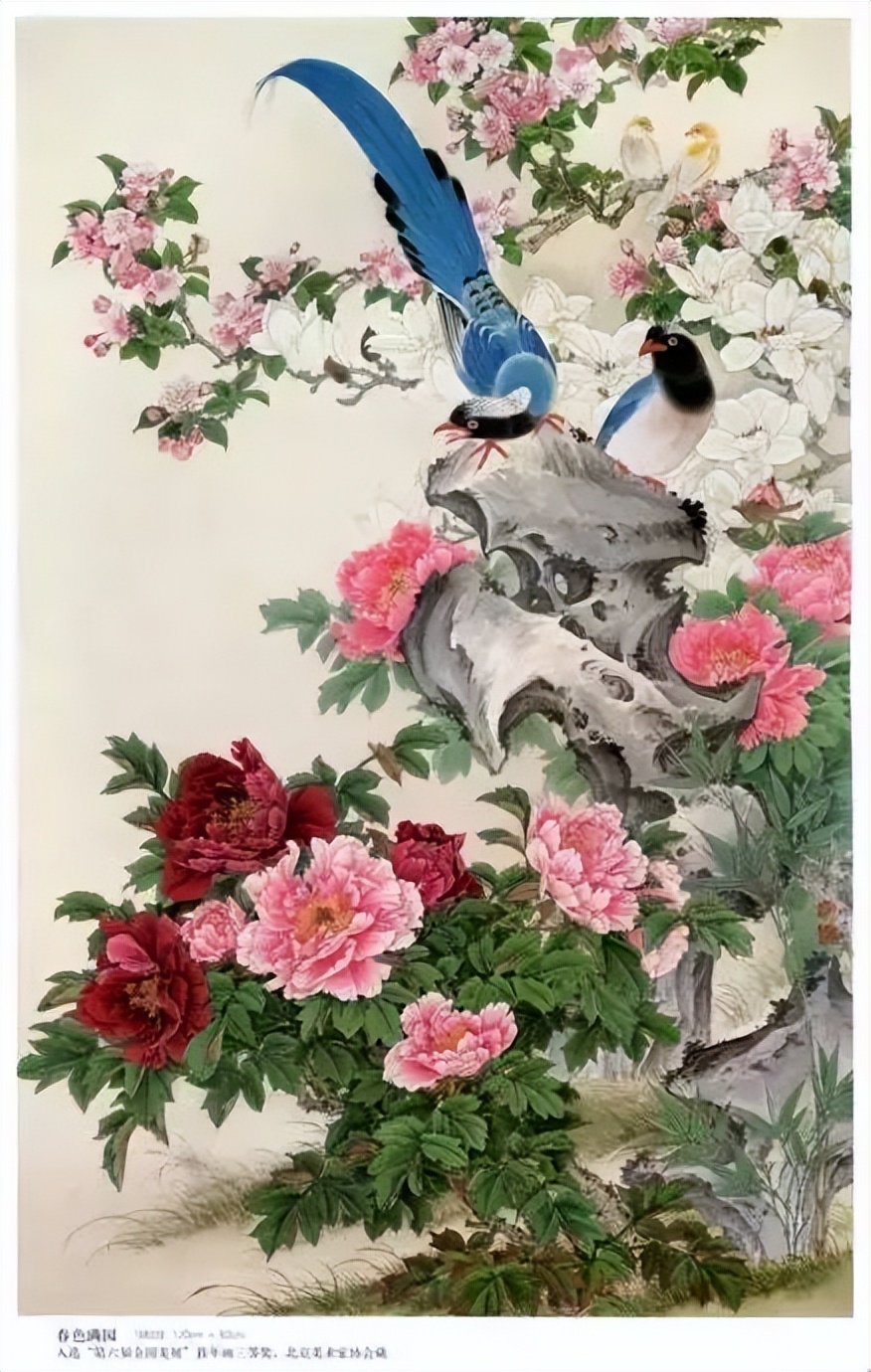 国画牡丹180幅,不愧花中之王,难得一见