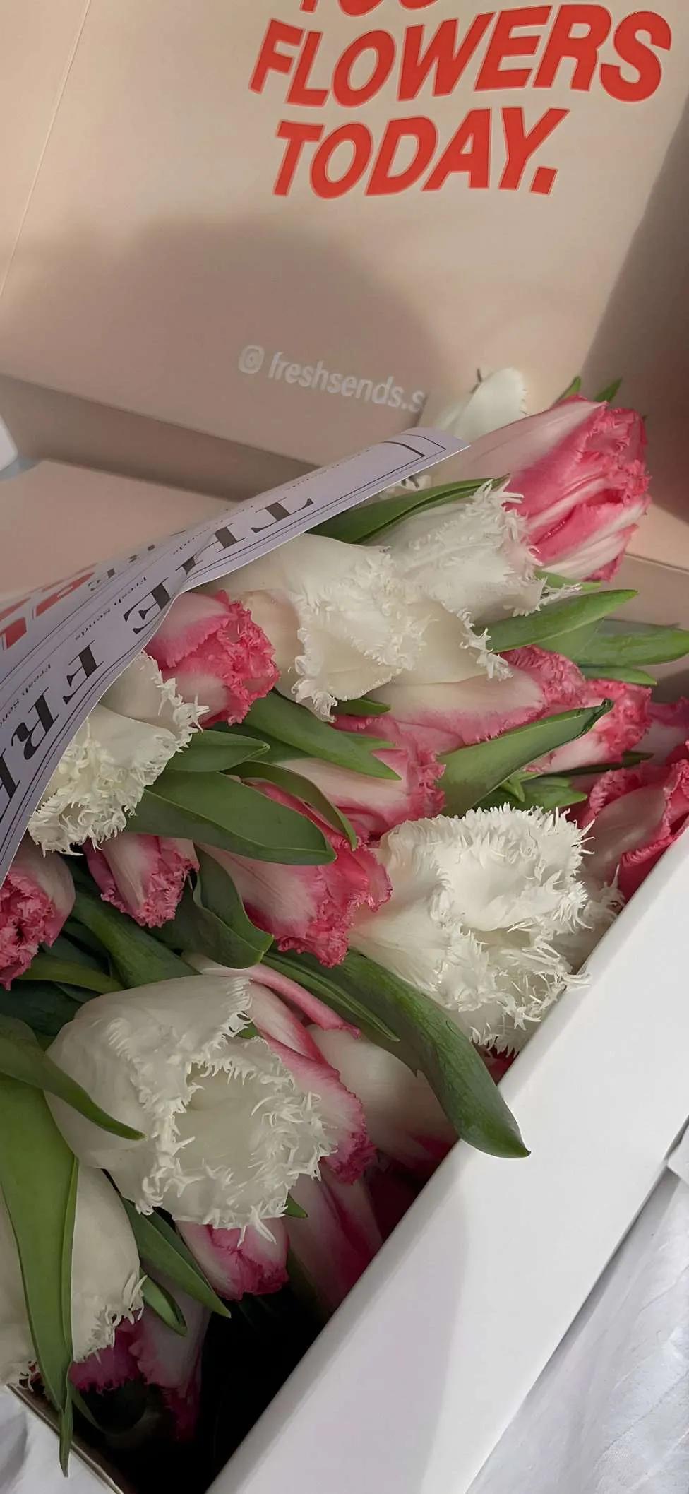 「文案」有期待终会有相见