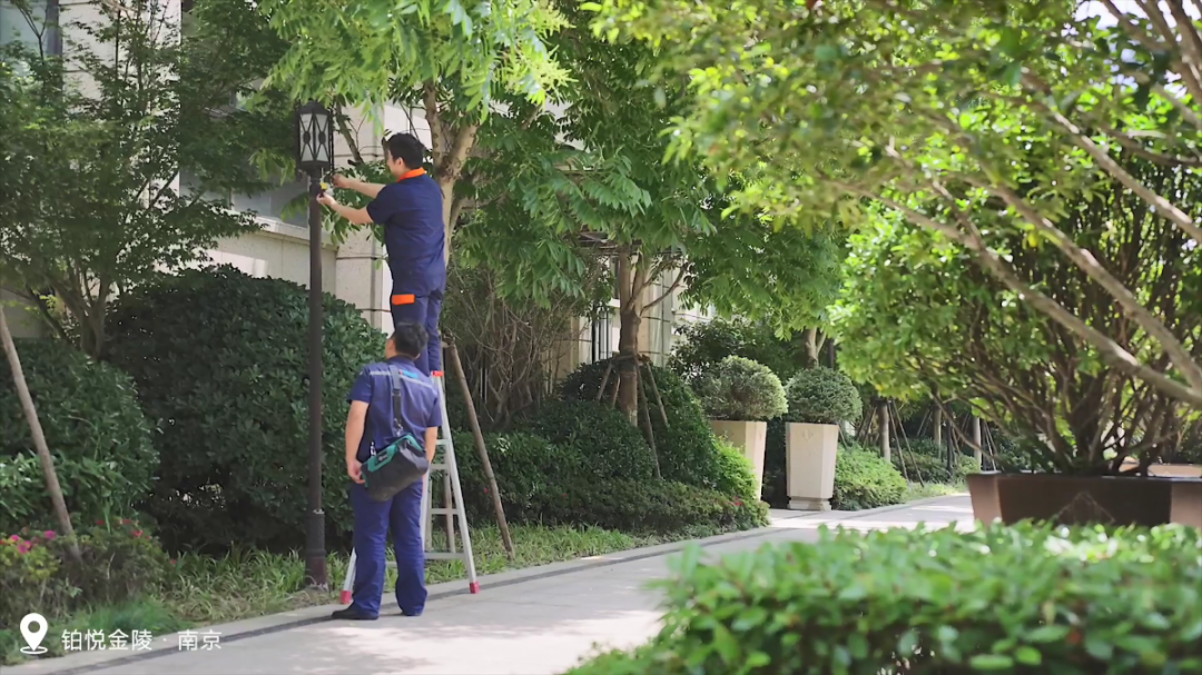 这里藏着一个「小森林」，治愈你的盛夏时光……