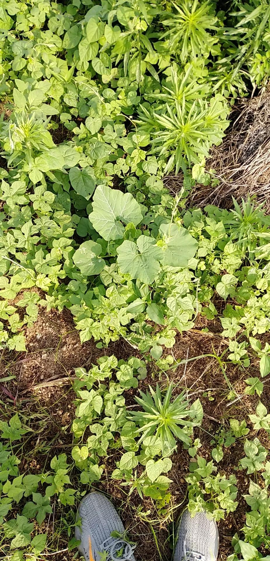 律师执业与律师考试之间的区别