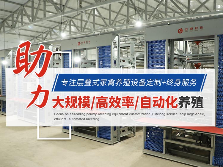 禽流感免疫失敗的原因分析：遠(yuǎn)卓農(nóng)牧建議