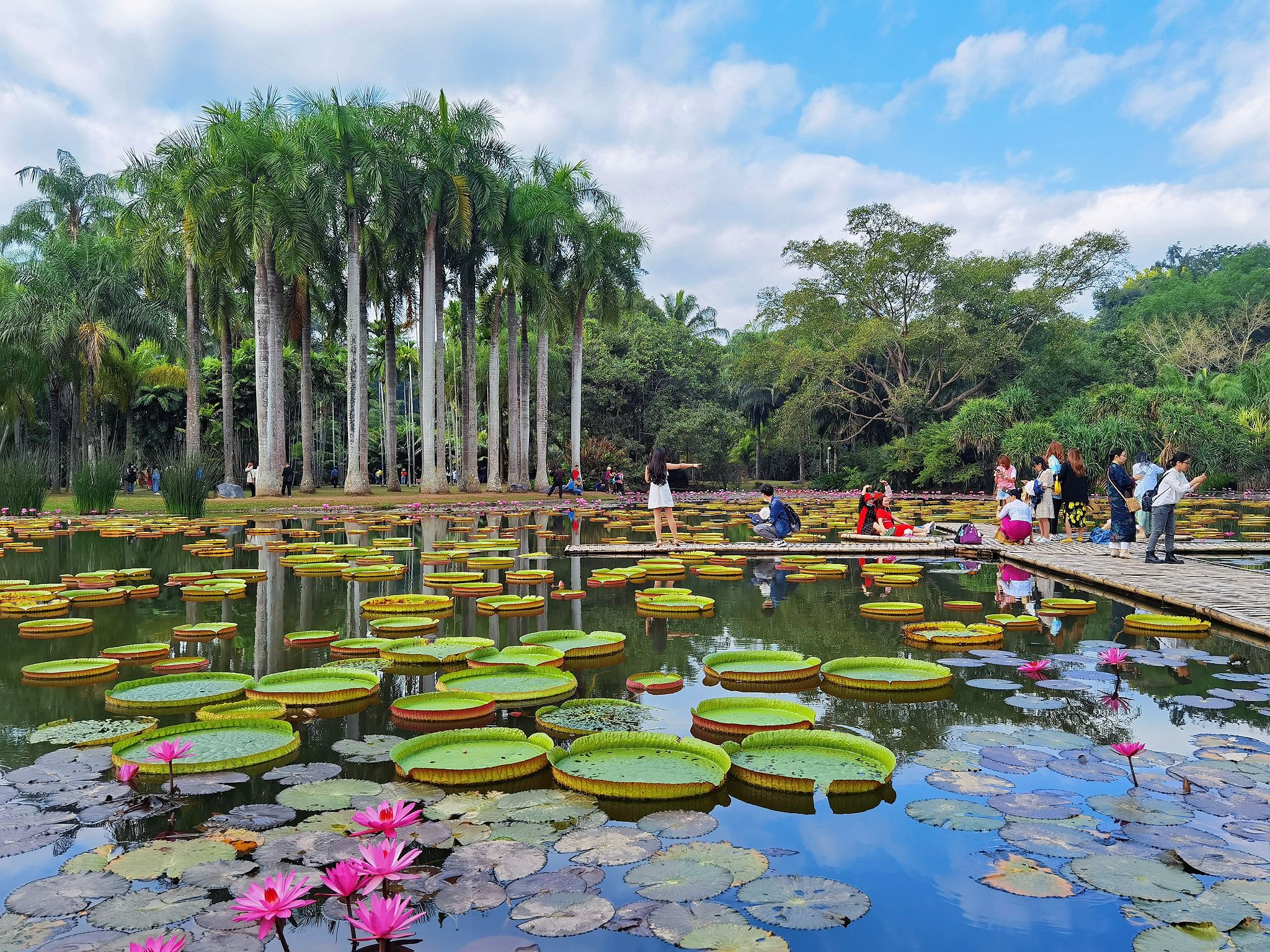 西双版纳几月份去最好 桂林适合几月份去旅游-百科叔叔