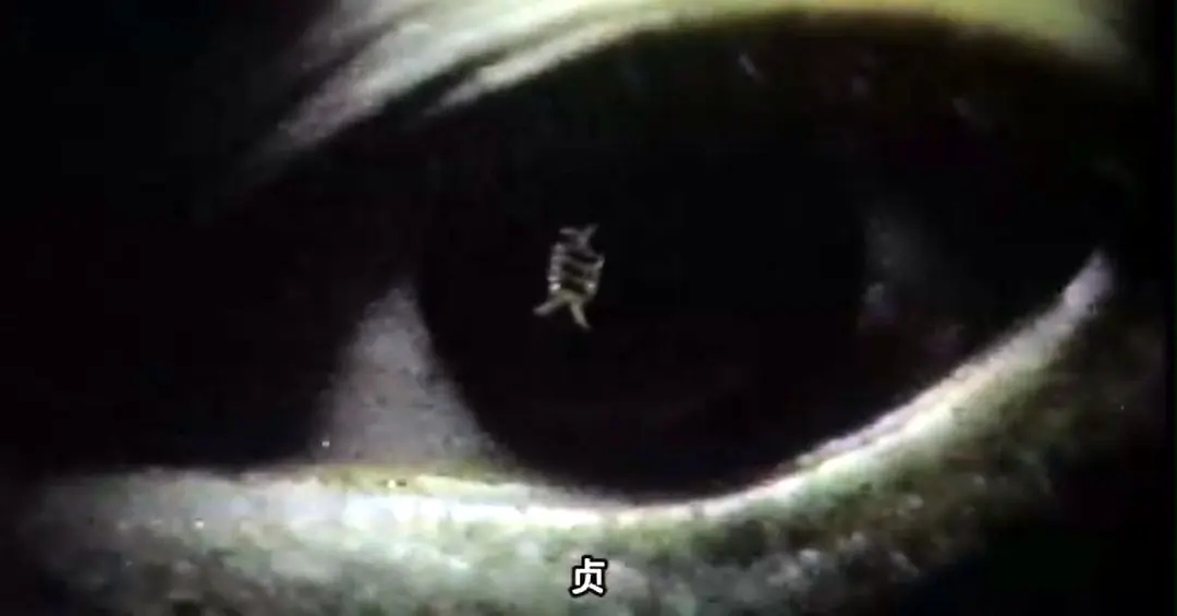 同样是恐怖片，把《咒怨》和《午夜凶铃》放在一起，差距就出来了