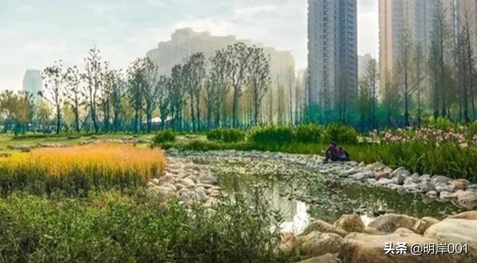 明岸：公园景观设计需要注意的三点
