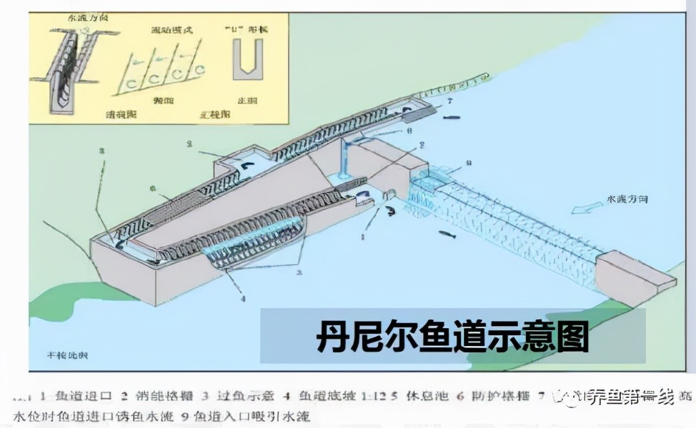 江河筑坝过鱼设施——鱼道：低水头水利枢纽过鱼通道构建技术