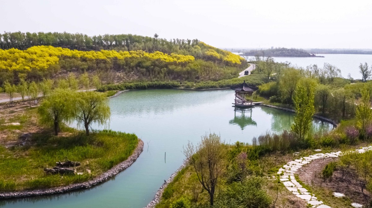 全国第一！马踏湖被评选为全国首批美丽河湖优秀案例第一名