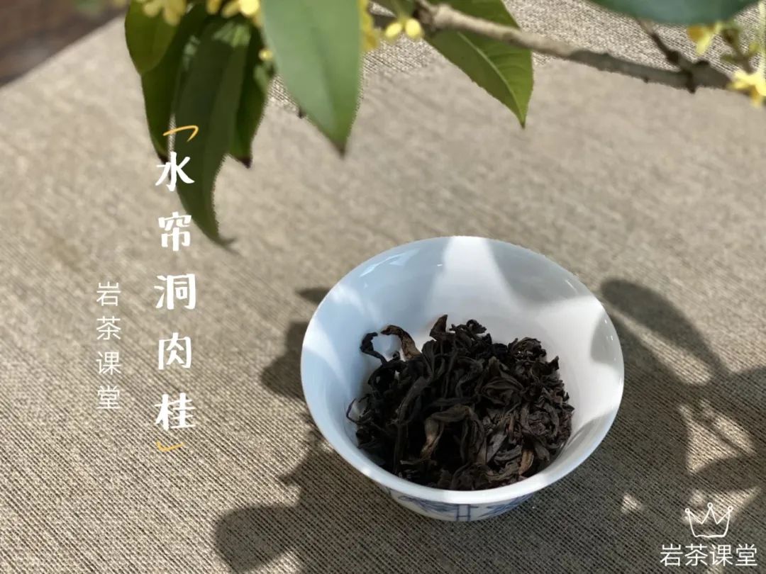 岩茶里，肉桂怎么区分好坏？听听老茶客的实话，都是踩坑后的血泪