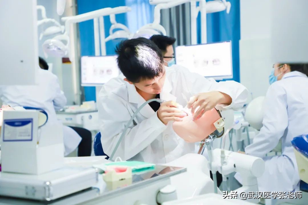 预科班口腔医学录取院校—云南医药健康职业学院