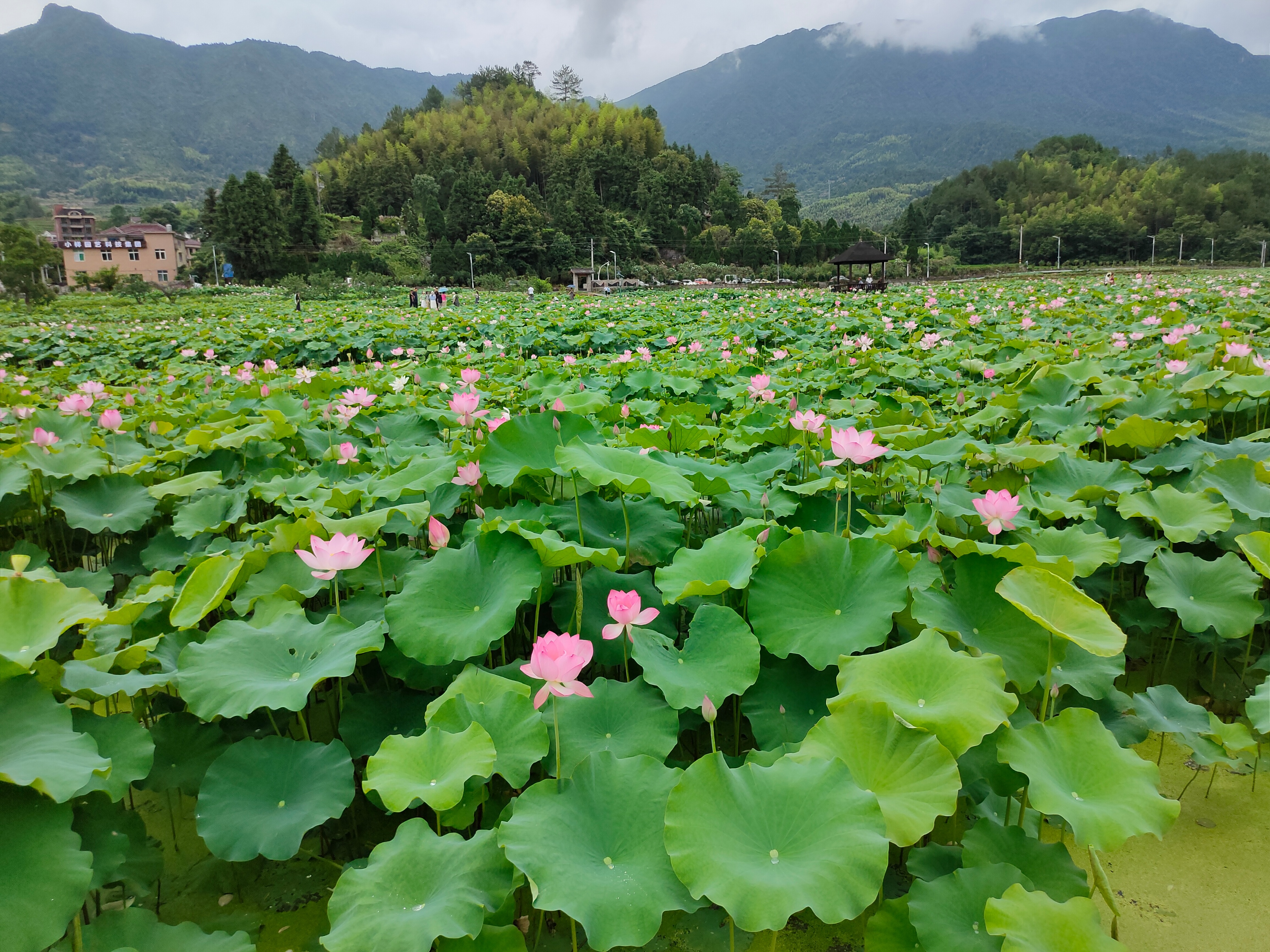 浙江省青田县有什么好玩地方（分享青田旅游景点攻略）