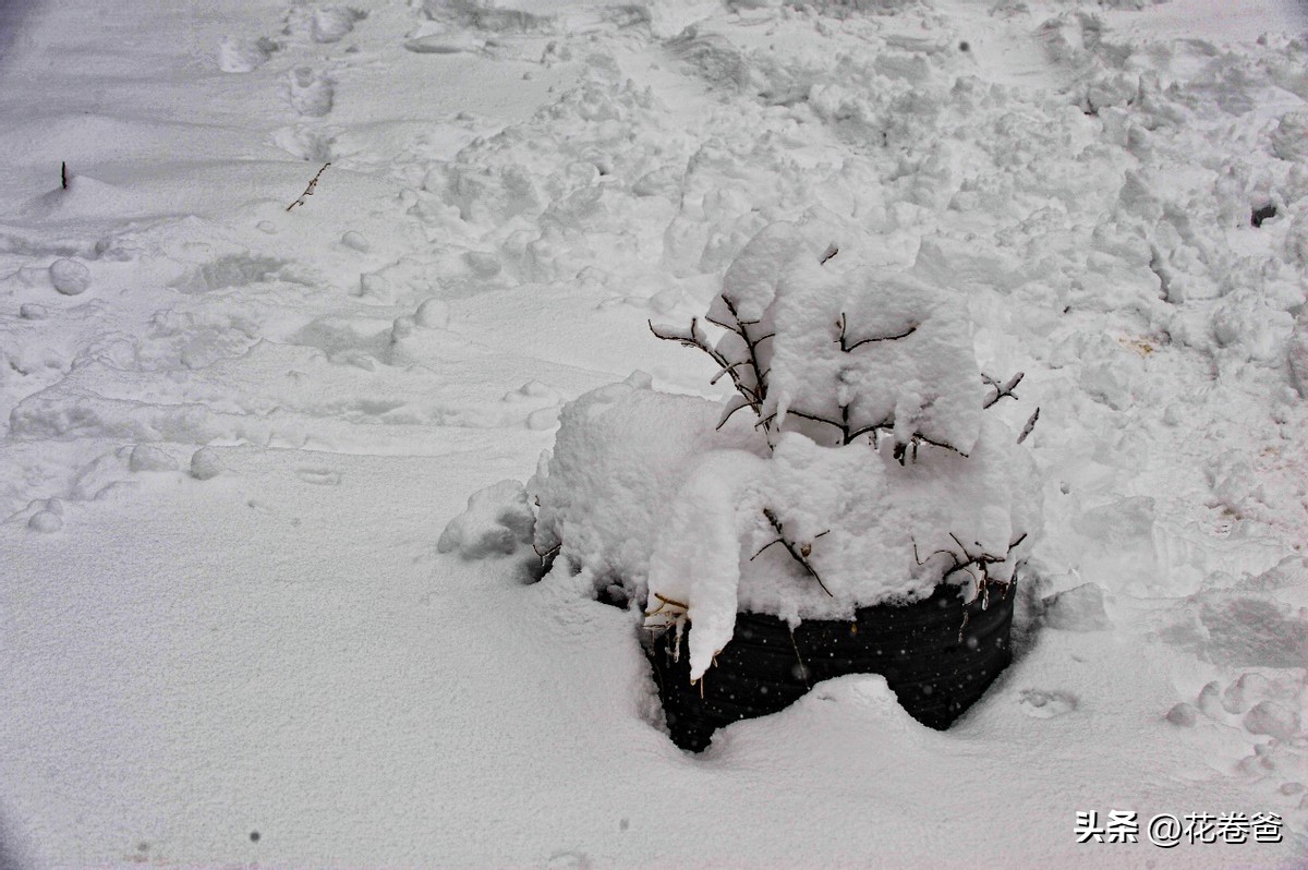 驾唐追逐2022年的第一场冬雪