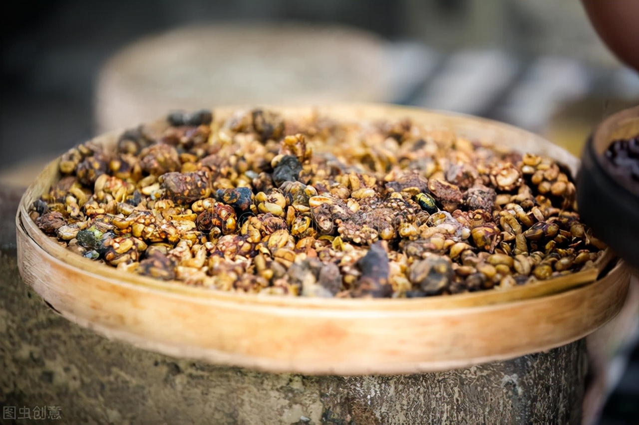 每公斤价格高达1000美元,巴西特色鸟屎咖啡大揭秘,对标猫屎咖啡