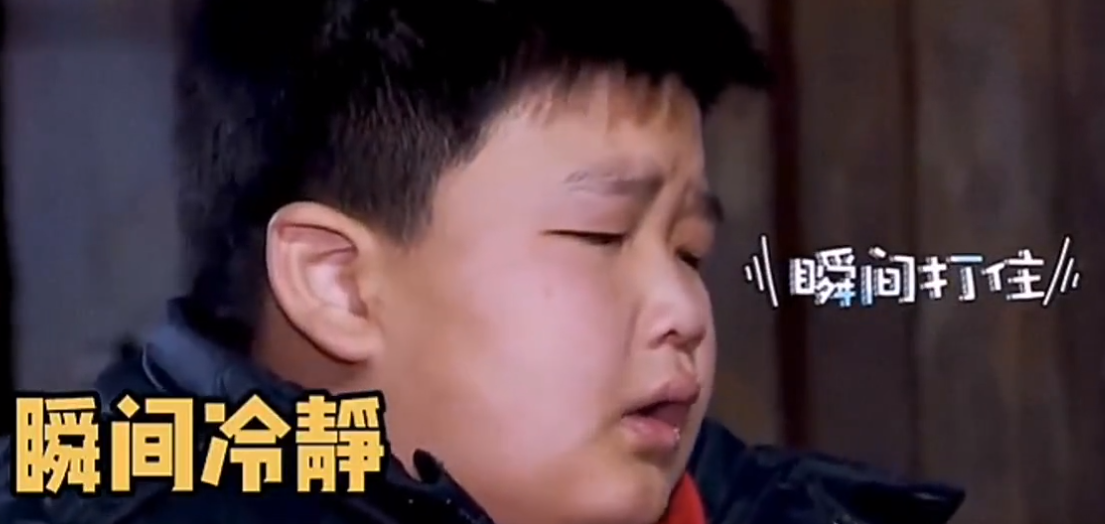 “乐华太子”：史上最惨富二代，体贴懂事的他为何被送去变形记？