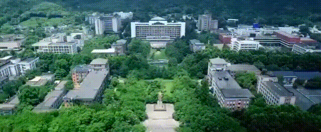 你，爱上浙大的理由是________