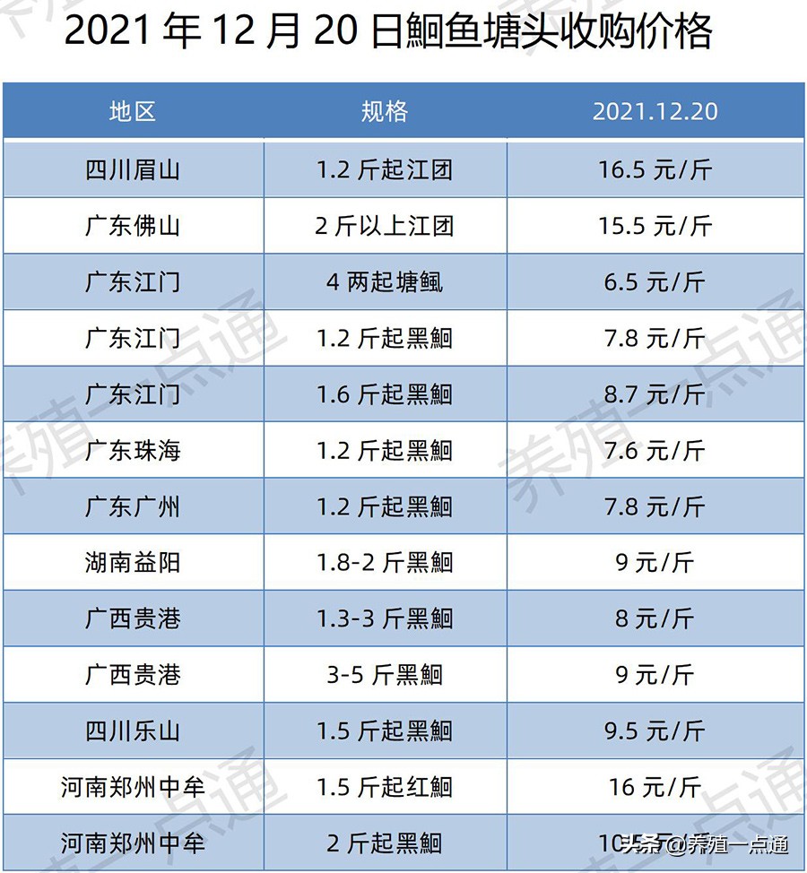 2021年12月20日，罗非、花鲢、鳊鱼、鮰鱼、鲫鱼、黑鱼、鲤塘口价