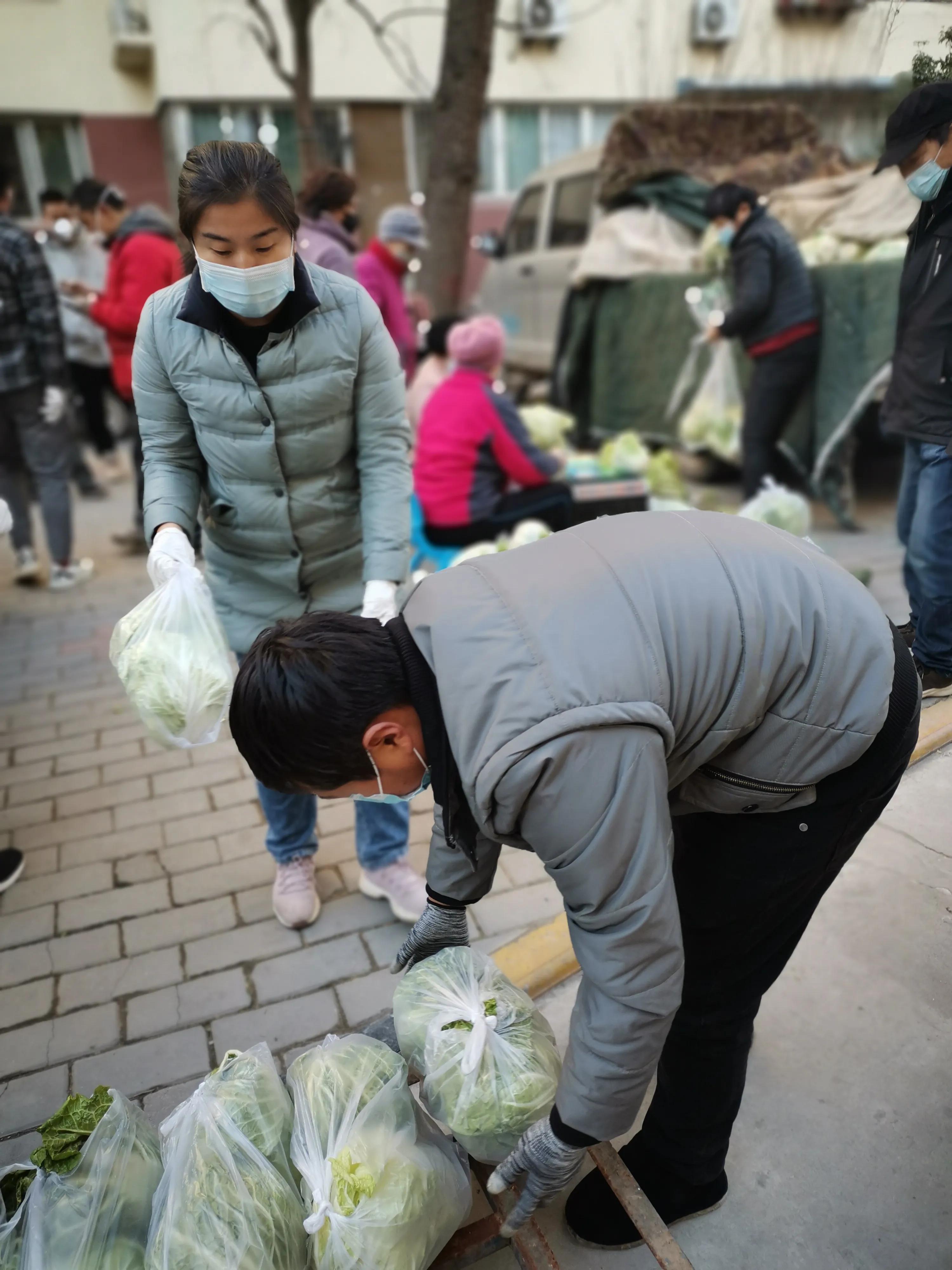 一位律师的抗疫日记