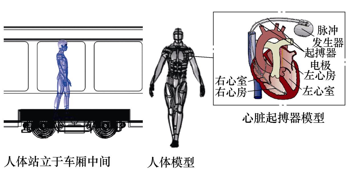 無接觸網(wǎng)供電城軌車輛對人體有電磁危害嗎？西南交大學(xué)者發(fā)表成果
