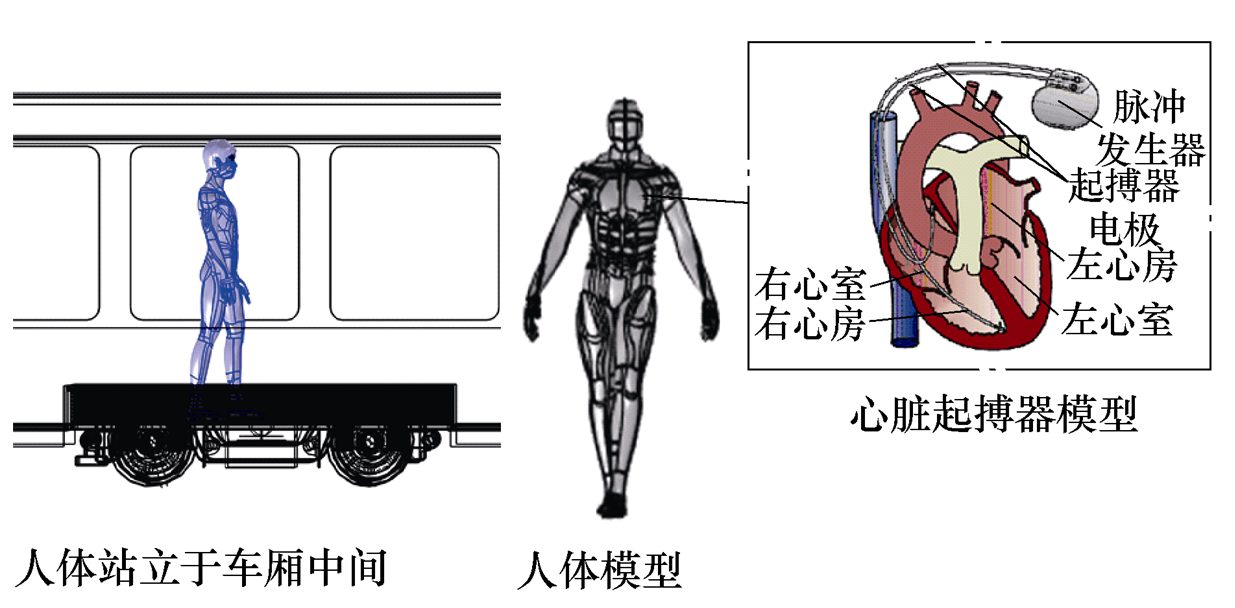 無接觸網(wǎng)供電城軌車輛對人體有電磁危害嗎？西南交大學(xué)者發(fā)表成果