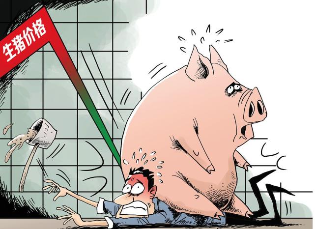 悲催！6月28日猪价“一溃千里”，牛肉跌蒙圈，粮价“上涨加速”