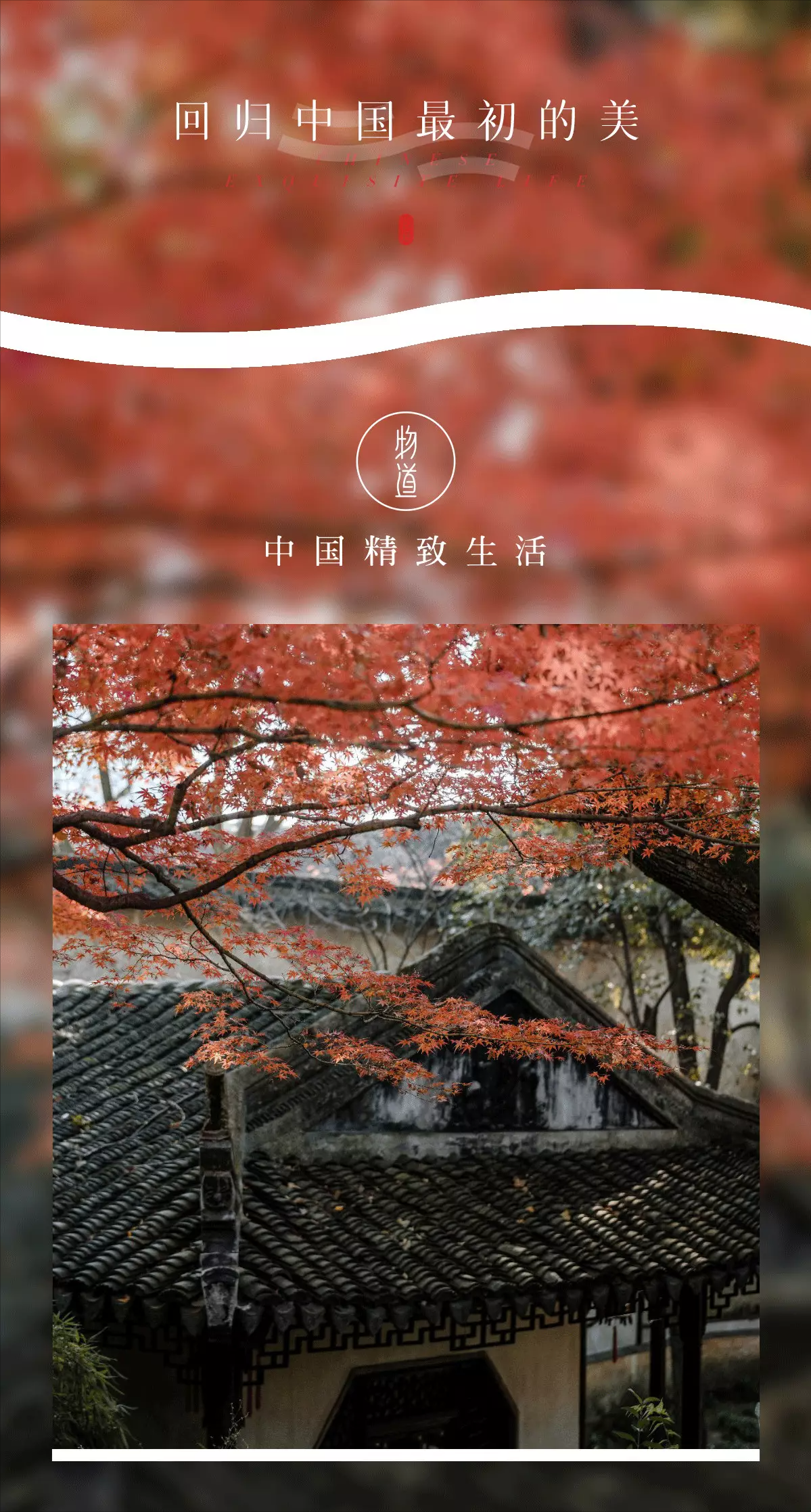 苏州园林：曲径通幽，亭台错落，一步一景，尽显江南雅韵