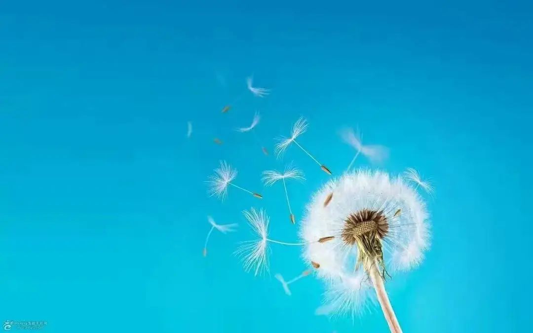 走过春夏秋冬，感悟人生四季