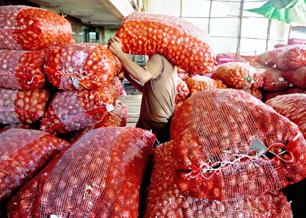 缅甸源源不断进口洋葱，但是本地产洋葱价格依旧居高不下