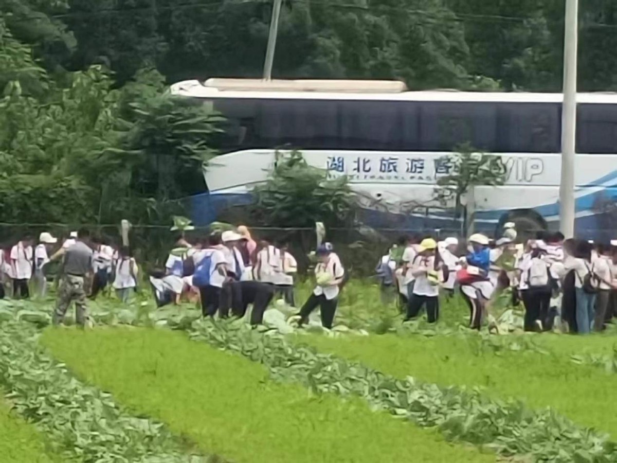 湖北黄石：小学生也要学习农耕知识，体验农事活动