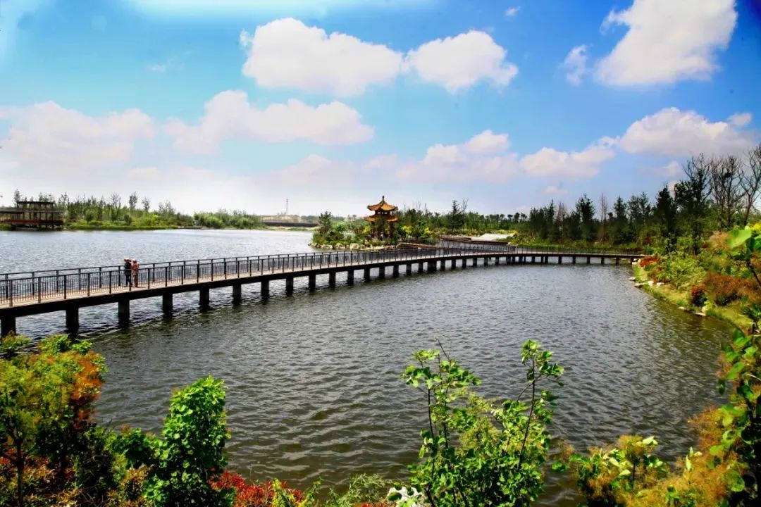 新宁夫夷江湿地公园图片
