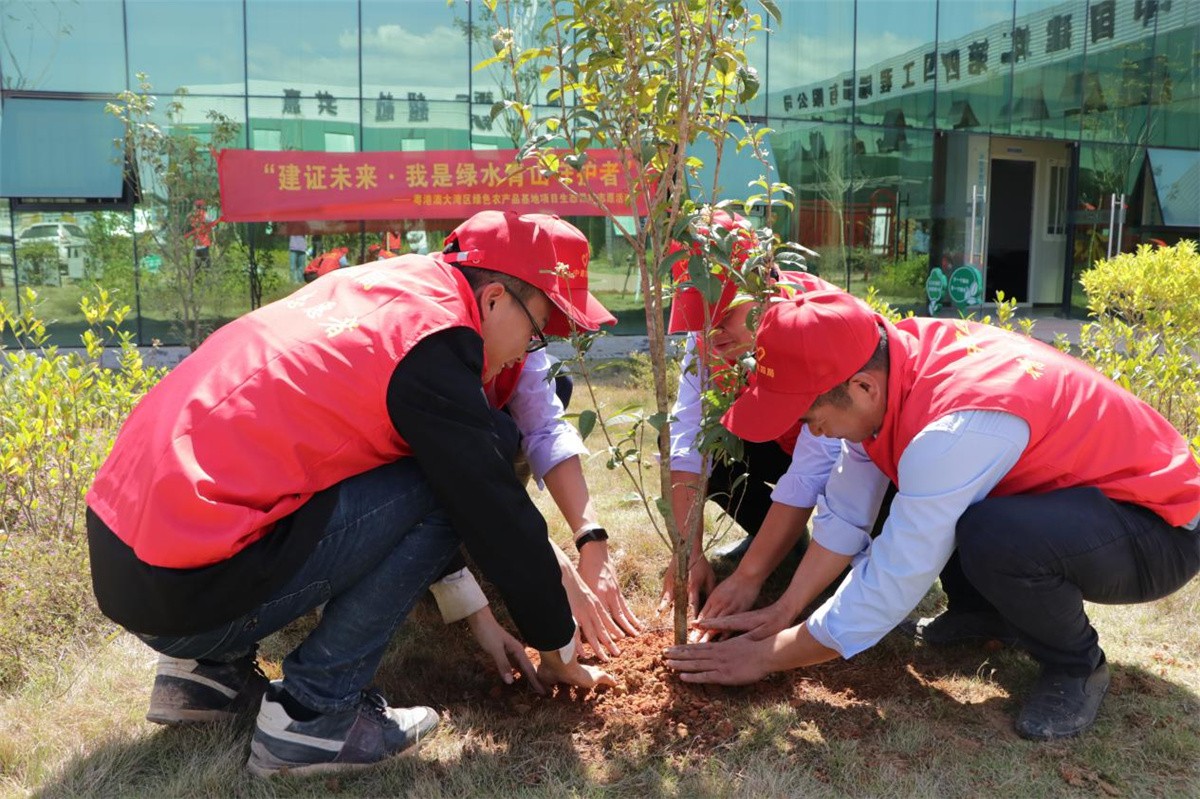 守护绿水青山 中建四局精诚志愿者开展义务植树活动