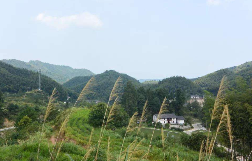 高考状元抢银行10万，被抓时仅花100多元，出狱后再考入重点大学